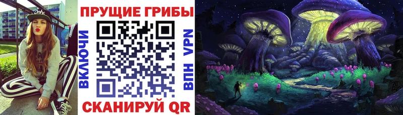 OMG онион  Уяр  Галлюциногенные грибы Psilocybe 